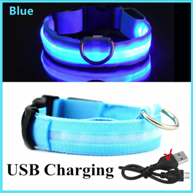 Usb Charging Led Dog Luminous Collars Adjustable Anti-Lost/Avoid Car Accident Night Light Safety Led Dogs Collar Pet Accessories