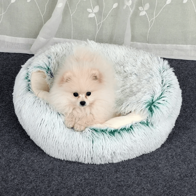 Pet Bed