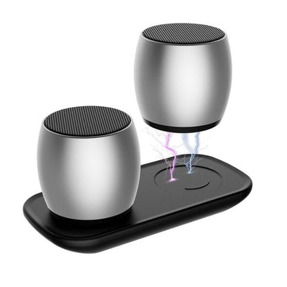 Mini Dual Speaker with Charging Base