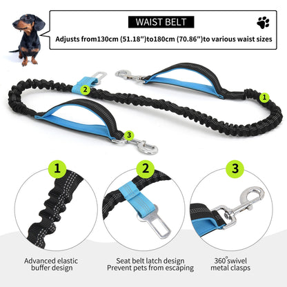 Dog Leash with Pocket