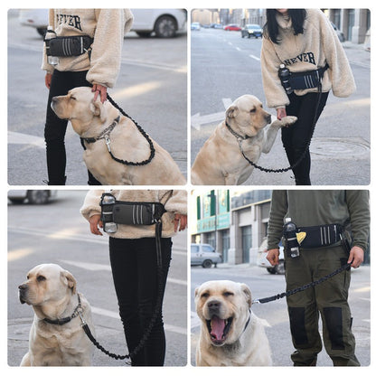 Dog Leash with Pocket