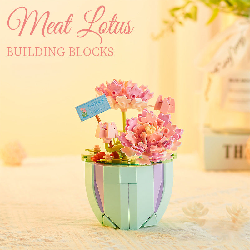 Succulent Blocks Assembled Plants Simulation