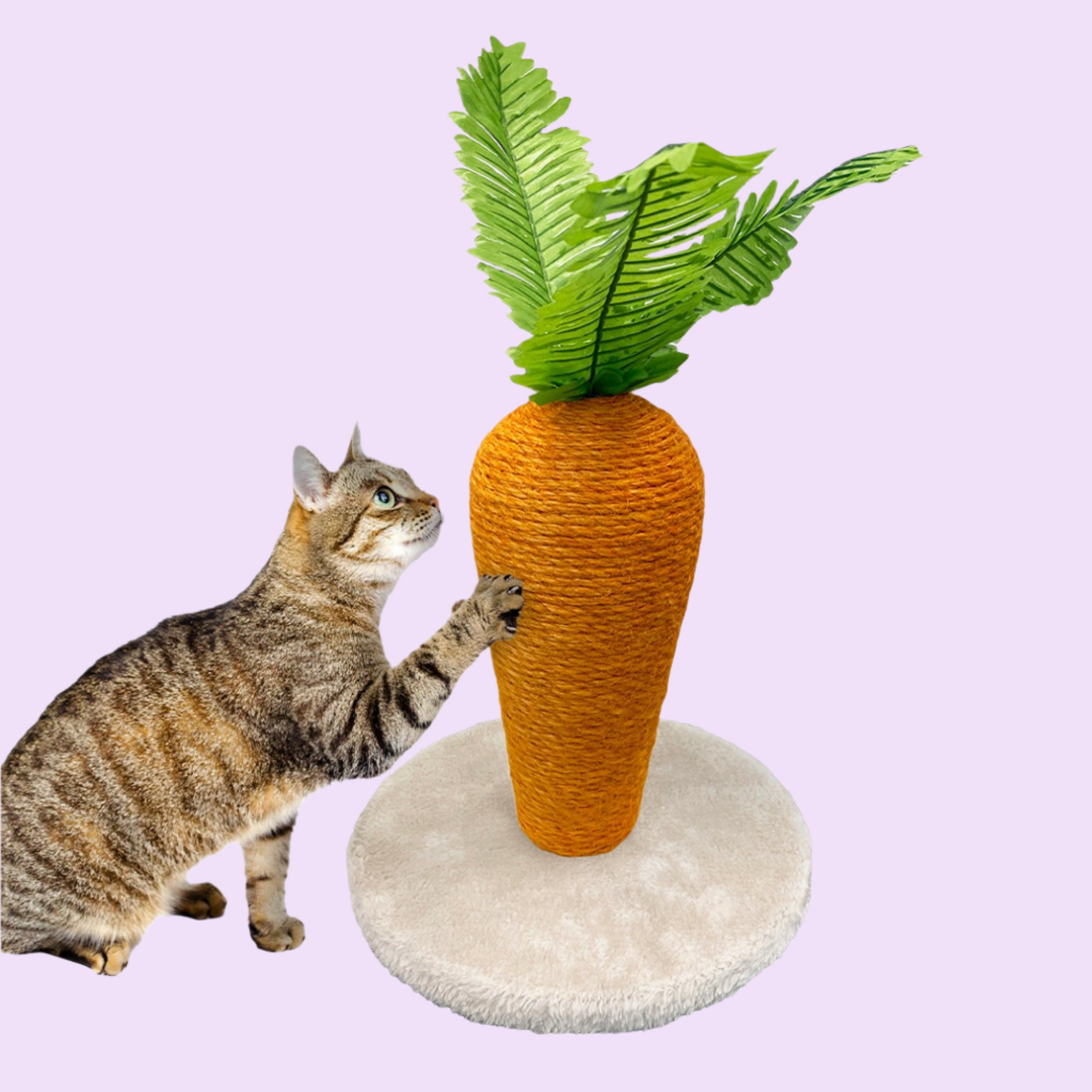 Novelty Cat Scratchers