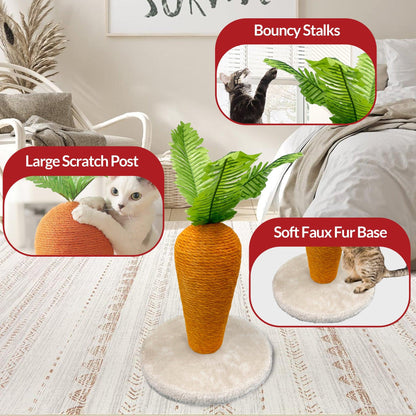 Novelty Cat Scratchers