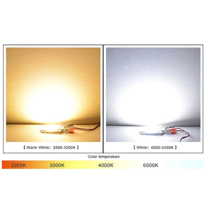 LED Chip COB lamp 10W 20W 30W 50W AC 220V 240V