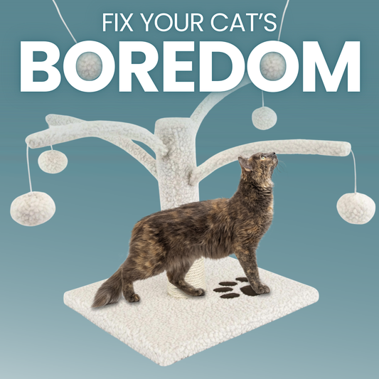 cat bored, Cat scratching, Novelty Cat Scratchers