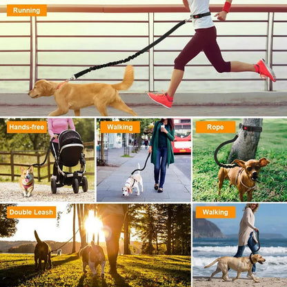 Pet Traction Rope Multifunctional