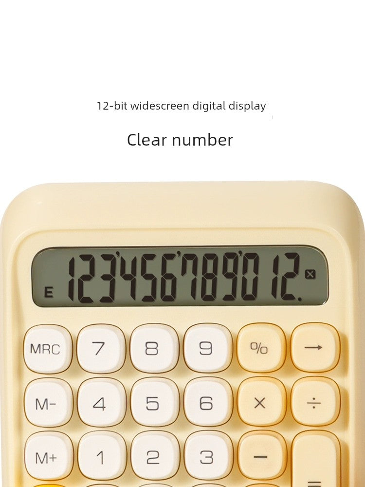 Office Large Computer Voice Calculator