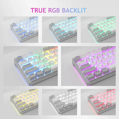 AULA F3261 RGB effect USB Mini Mechanical Gaming Keyboard