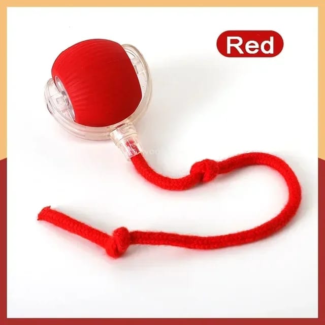 Pet Electric Ball Toy Intelligent Automatic Rolling