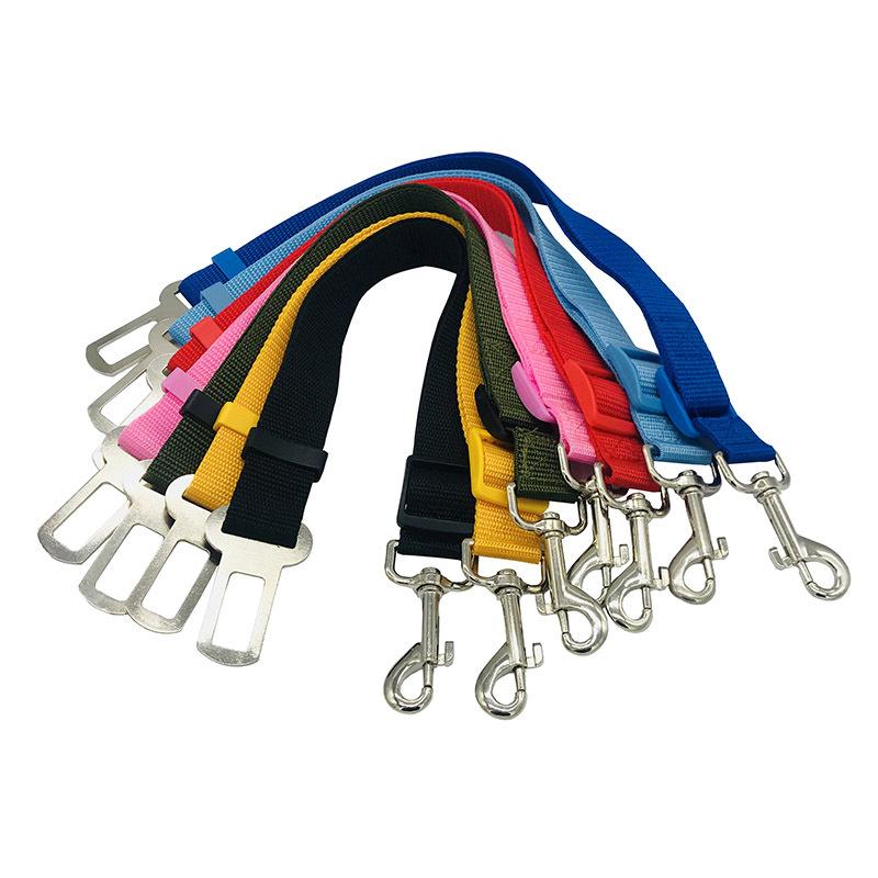 Accessories, Leads/Collars