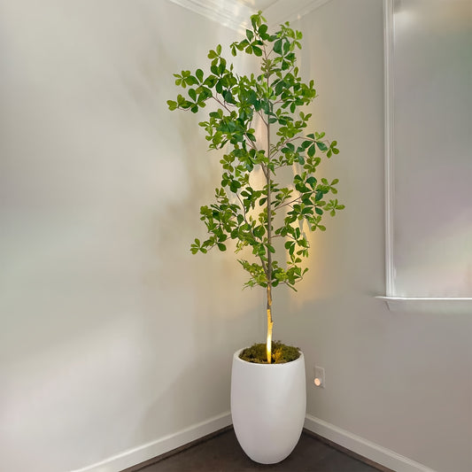 Faux Black Olive Tree 7ft, Tall Faux Trees Indoor With Natural Trunk And Realistic Leaves. 7 Feet (84in) Artificial Tree For Home Office Décor.