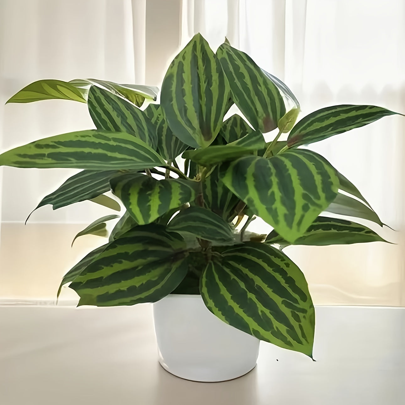 4/ Set, Mini Fake Flower Pot, White Flower Pot Small Fake Plant, Suitable For Desk Bathroom Bedroom Green Decoration, Spring And Summer Decoration St. Patrick's Day Easter Decoration, Beauty Room Decoration