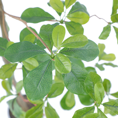 Faux Black Olive Tree 7ft, Tall Faux Trees Indoor With Natural Trunk And Realistic Leaves. 7 Feet (84in) Artificial Tree For Home Office Décor.