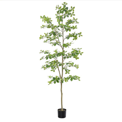 Faux Black Olive Tree 7ft, Tall Faux Trees Indoor With Natural Trunk And Realistic Leaves. 7 Feet (84in) Artificial Tree For Home Office Décor.
