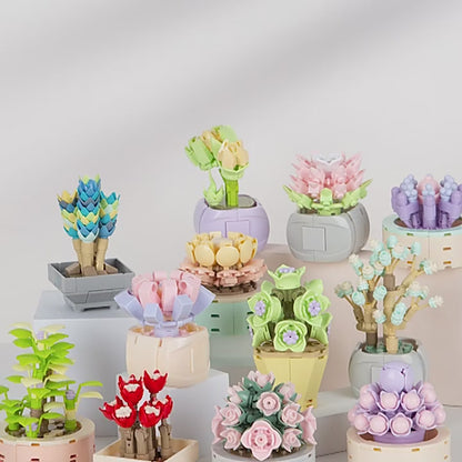 Succulent Blocks Assembled Plants Simulation