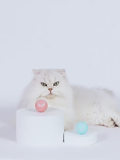 Smart Cat Rolling Ball Toys Rechargeable Cat Toys